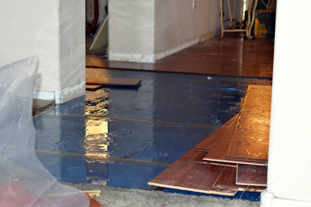 Professional Basement Flood Cleanup technician working in Forestville, PA